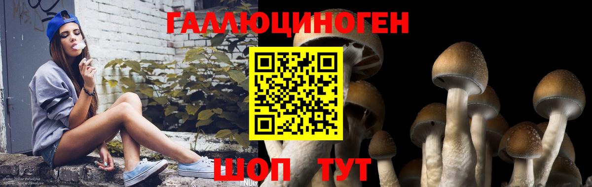 Холмск  Псилоцибиновые грибы Psilocybe  Псилоцибиновые грибы GOLDEN TEACHER  даркнет сайт  Вход с VPN 